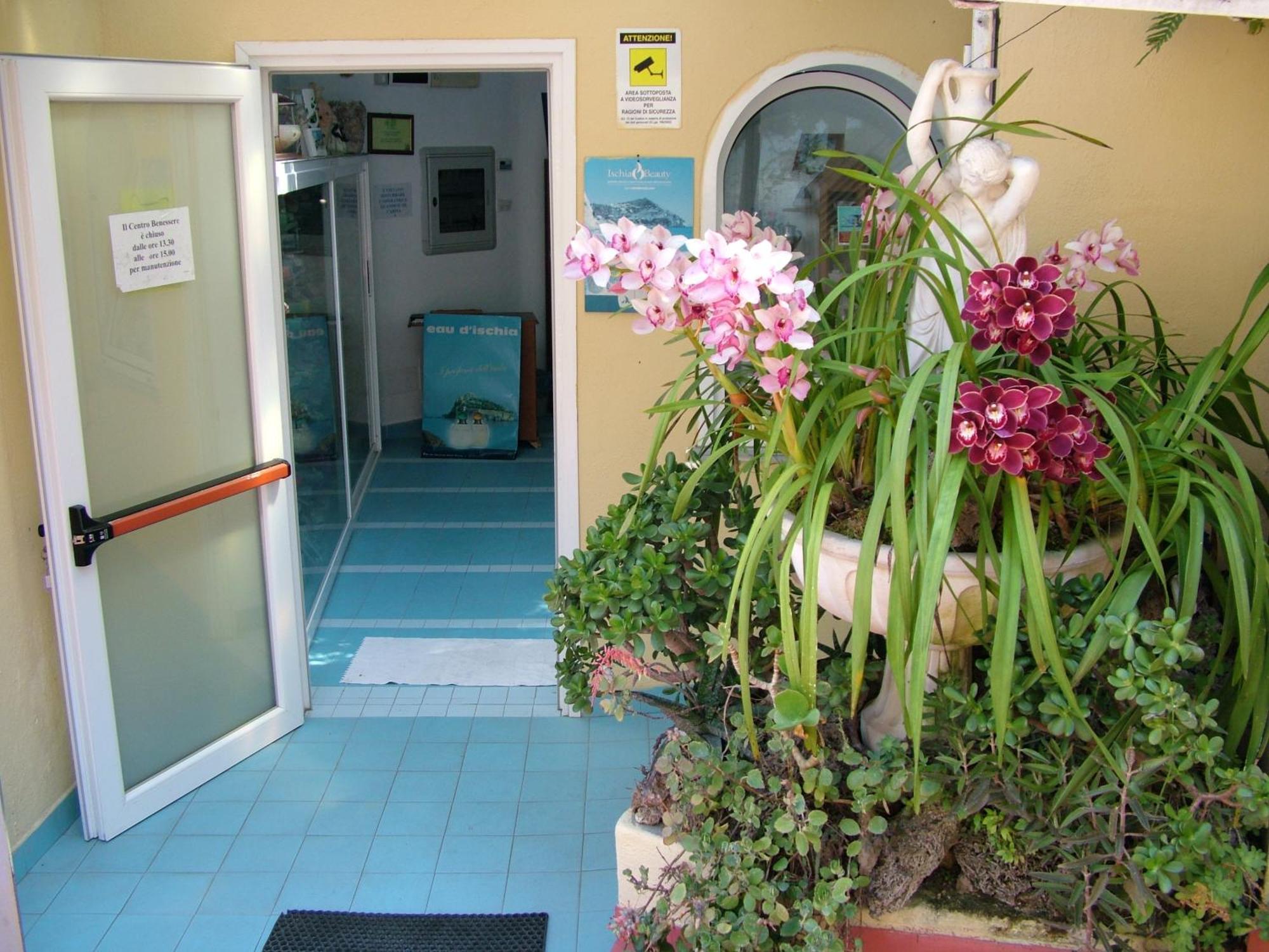 Hotel Giardino Delle Ninfe E La Fenice Ischia Exteriör bild