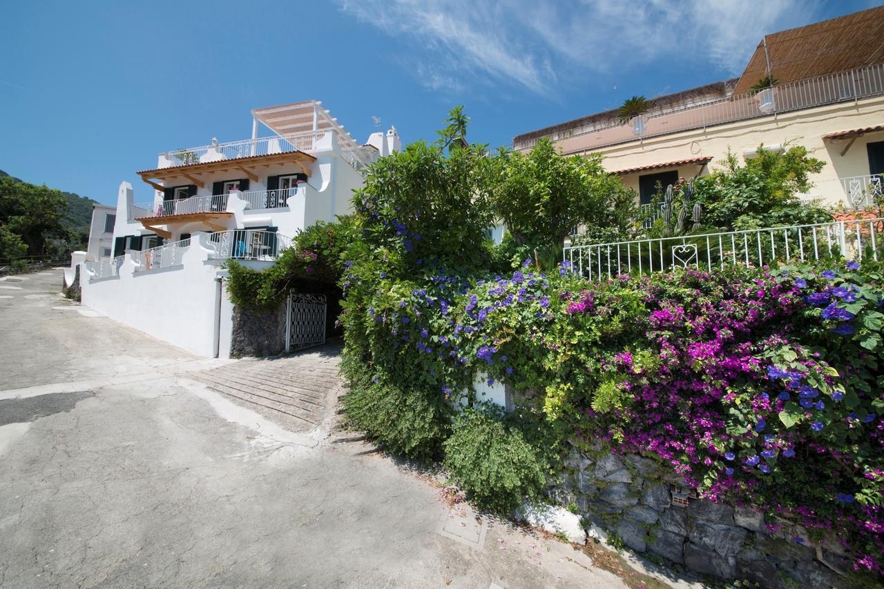 Hotel Giardino Delle Ninfe E La Fenice Ischia Exteriör bild